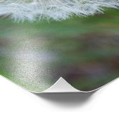 11 Zoll x 14 Zoll schöne Leuchte Fotodruck (Ecke)