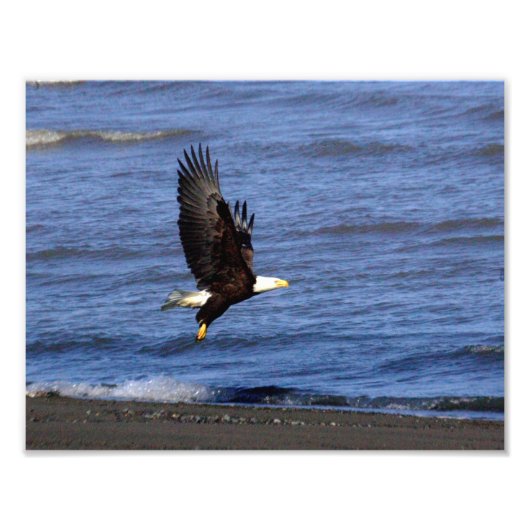 11 Zoll x 8,5 Zoll, Kodak Berufliches Foto Paper ( (Vorne)