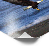 11 Zoll x 8,5 Zoll, Kodak Berufliches Foto Paper ( (Ecke)