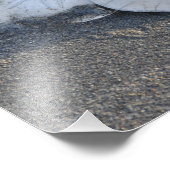 11X14 A Trio von SandDollars Fotodruck (Ecke)