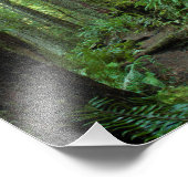 11X14 Altenwald im Twanoh Staat Park, WA Fotodruck (Ecke)