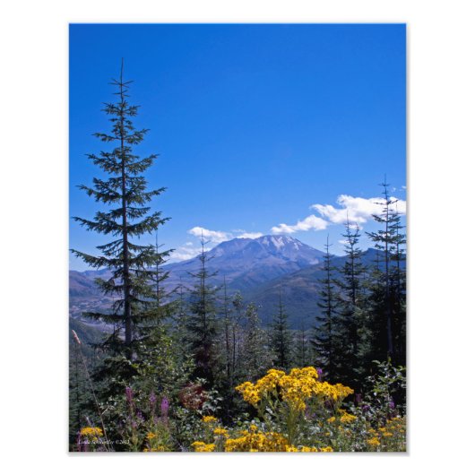 11X14 Berg St Helens Fotodruck (Vorne)