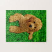 11x14 Das Goldendoodle rex Puzzle (Horizontal)