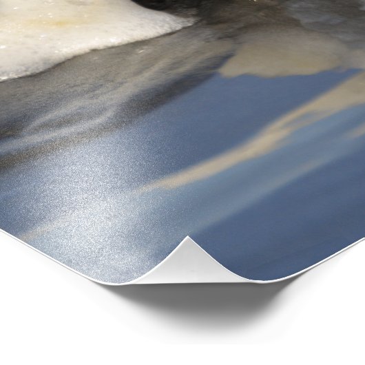 11X14 Dungeness Crab mit dem Surf Spilling Over! Fotodruck (Ecke)