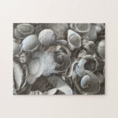 11x14 Muscheln Puzzle für Colorblinde (Horizontal)