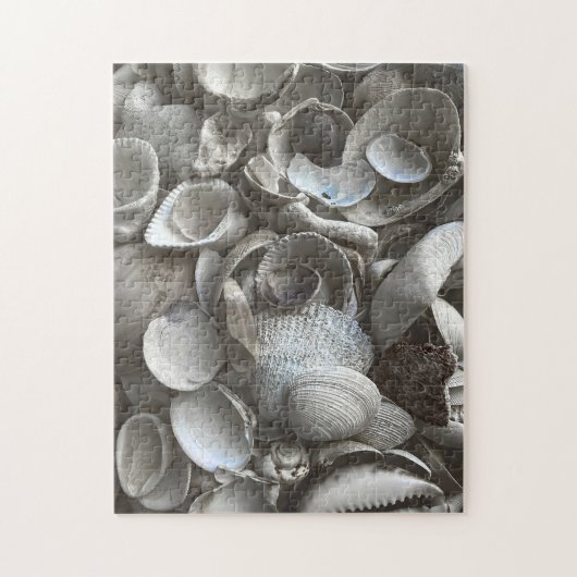 11x14 Muscheln Puzzle für Colorblinde (Vertikal)