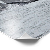 11X14 Orca Wale - Vier in Einheit mit einem Seagul Fotodruck (Ecke)