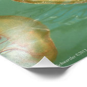 11X14 Seeschwalbe Fotodruck (Ecke)