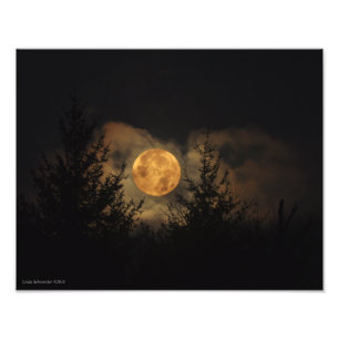 11X14 Super Moon 11-14-16 Fotodruck