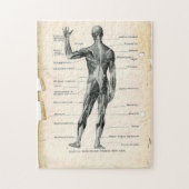 11x14 Vintage Anatomie-Buchseiten Puzzle (Vertikal)