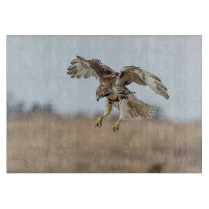 11x8 Eintauchen in Red Tail Hawk Hovering Schneidebrett