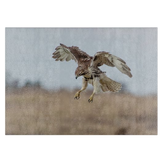 11x8 Eintauchen in Red Tail Hawk Hovering Schneidebrett (Vorderseite)