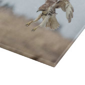 11x8 Eintauchen in Red Tail Hawk Hovering Schneidebrett (Ecke)