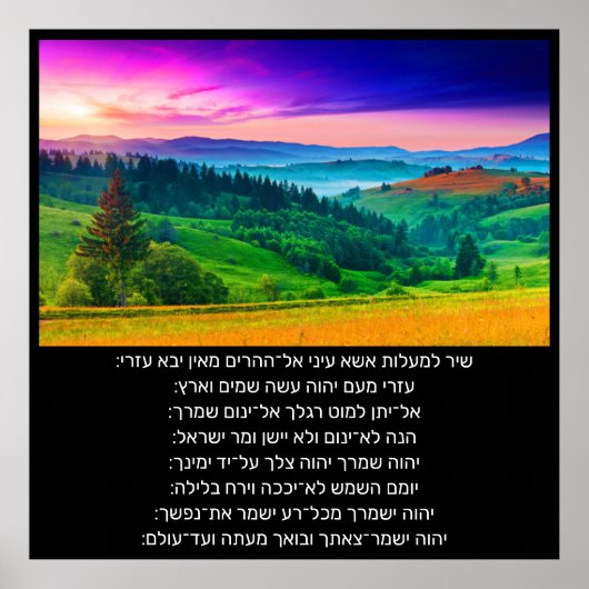 121 מ ז מ ר Poster (Vorne)