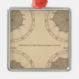122 Erkrankungen des Nervensystems und des Kreisla Silbernes Ornament