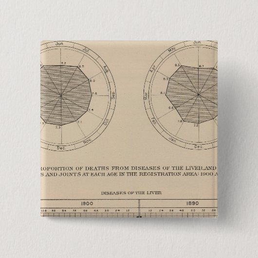 124 Erkrankungen des Verdauungsapparates, Leber Button (Vorderseite)