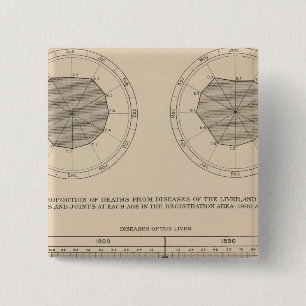 124 Erkrankungen des Verdauungsapparates, Leber Button