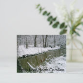 124, Hallo aus North Carolina Postkarte (Stehend Vorderseite)