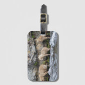 128 Grazers CUB an den Bach-Fällen - Gepäckanhänger (Vorderseite Vertikal)