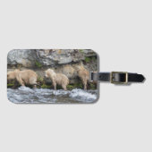 128 Grazers CUB an den Bach-Fällen - Gepäckanhänger (Vorderseite (Horizontal))