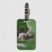 128 Grazers kleinstes CUB - Gepäckanhänger 2 (Vorderseite Vertikal)