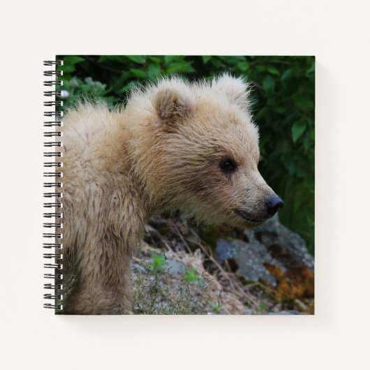 128's Littlest Cub - Notebook Notizblock (Vorderseite)