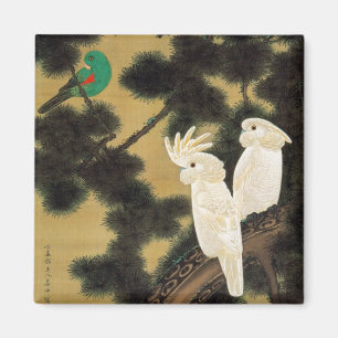 12. 老 松 鸚 図, 若 冲 Pine-tree & Parrot, Jakuchū Magnet