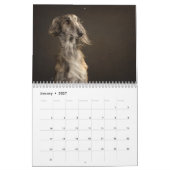 12 2016 seidener Windhounds Kalender (Jan 2027)