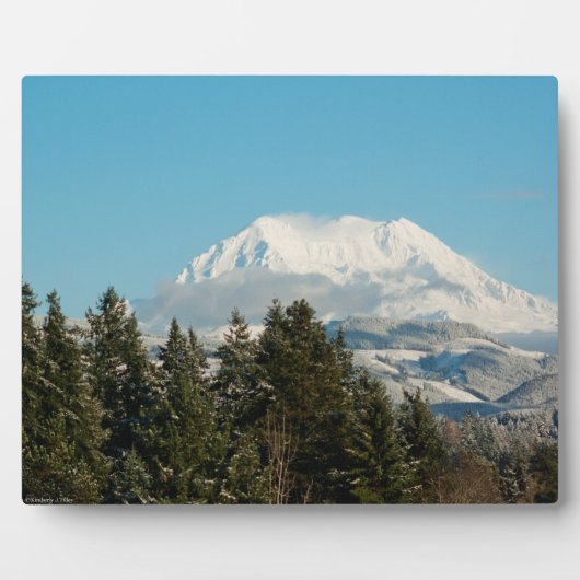 12/22/2014 FOTOPLATTE (Vorderseite)