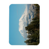 12/22/2014 MAGNET (Vertikal)