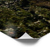 12/22/2014 POSTER (Ecke)