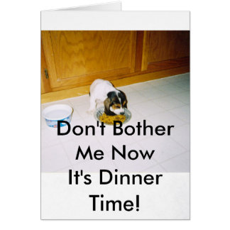 12-30-2008 06; 09; 30PM, stören mich nicht NowIts…