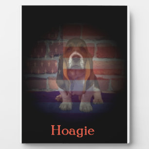 12,7cm x 17,78cm mit Ständer Fotoplatte