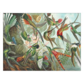 12 Amerikanische hummende Vogelrassen gezeichnet Tischdecke (Vorderseite (Horizontal))