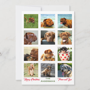 12 Bild unglaublich Weihnachts-Familie Collage Einladung