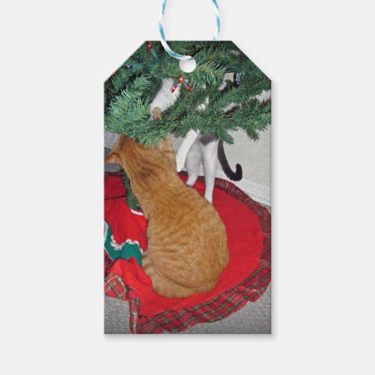 12 Cats a-Climbing Geschenkanhänger (Vorderseite)