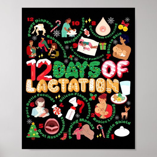 12 Day Of Ibclc Lactation Consultant Breastfeeding Poster (Vorne)