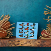 12 Enten Fotoplatte (Seite)