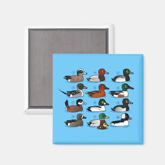 12 Enten Magnet (Vorderseite/Rückseite)