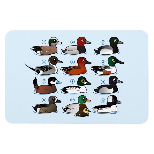 12 Enten Magnet (Horizontal)