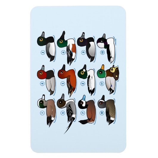12 Enten Magnet (Vertikal)