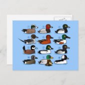 12 Enten Postkarte (Vorne/Hinten)