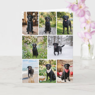 12 Foto-Collage Personalisiert Maßgeschneidert Karte