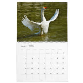 12 Fotos verschiedener Vogelarten Kalender (Jan 2026)