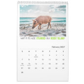 12 Fragen Veganer werden gefragt mit Tieren Fotos Kalender (Feb 2027)