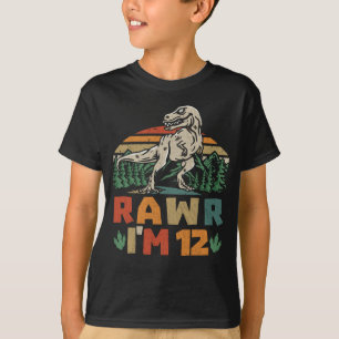 12. Geburtstag Dinosaurier T Rex Rawr Ich bin 12 f T-Shirt