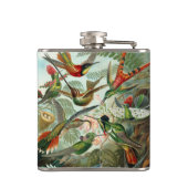 12 gezeichnet amerikanische Kolibris Flachmann (Rückseite)