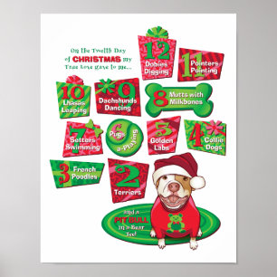 12 Hunde Weihnachten Poster