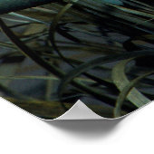 12 Kanarienvoegel, Kanarienvogel (Serinus canaria Poster (Ecke)