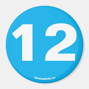 12 Magnet